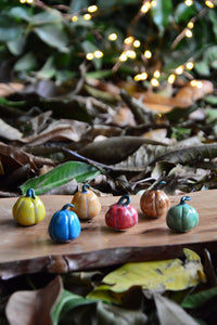 Miniature Ceramic Pumpkin Magnets | Pick Any 2