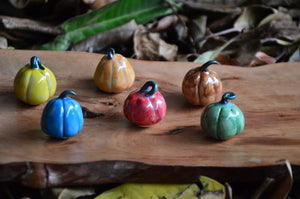 Miniature Ceramic Pumpkin Magnets | Pick Any 2