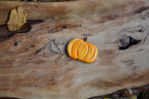 Pumpkin Patch | Hygge Home Ceramic Magnet