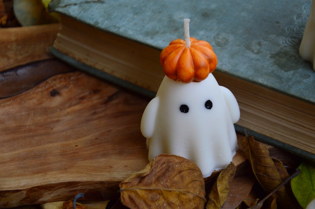 Who took the pumpkins? Spooky Ghosts from the Pumpkin Patch