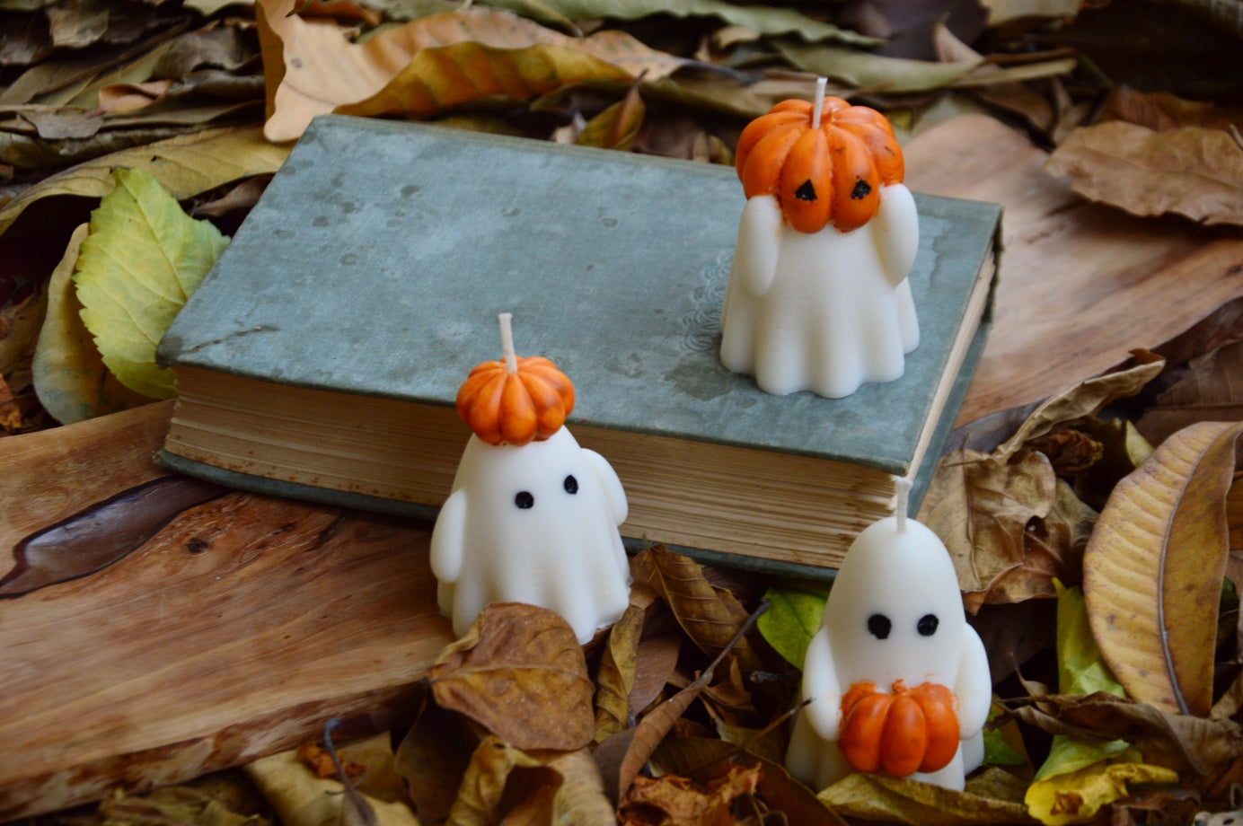 Who took the pumpkins? Spooky Ghosts from the Pumpkin Patch