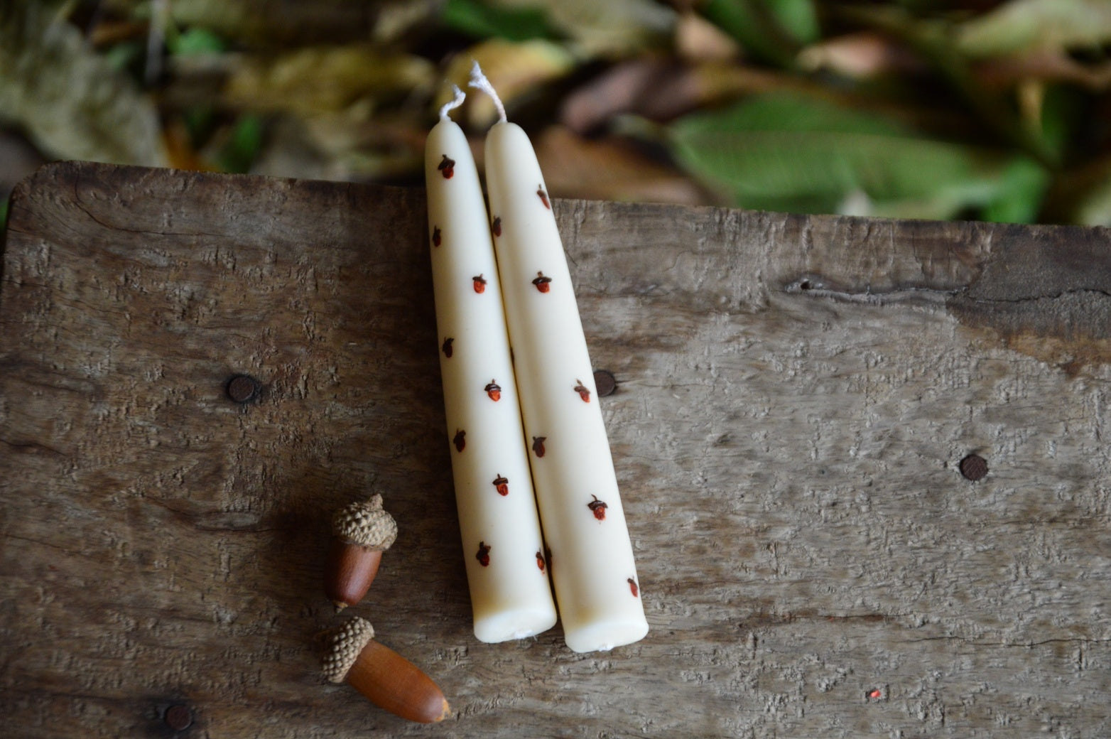 Hand Painted Hand Dipped Candles | Acorns