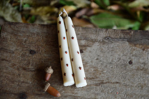 Hand Painted Hand Dipped Candles | Acorns