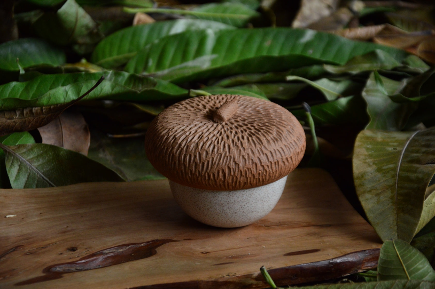 Cermaic Acorn | White
