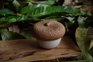 Cermaic Acorn | White