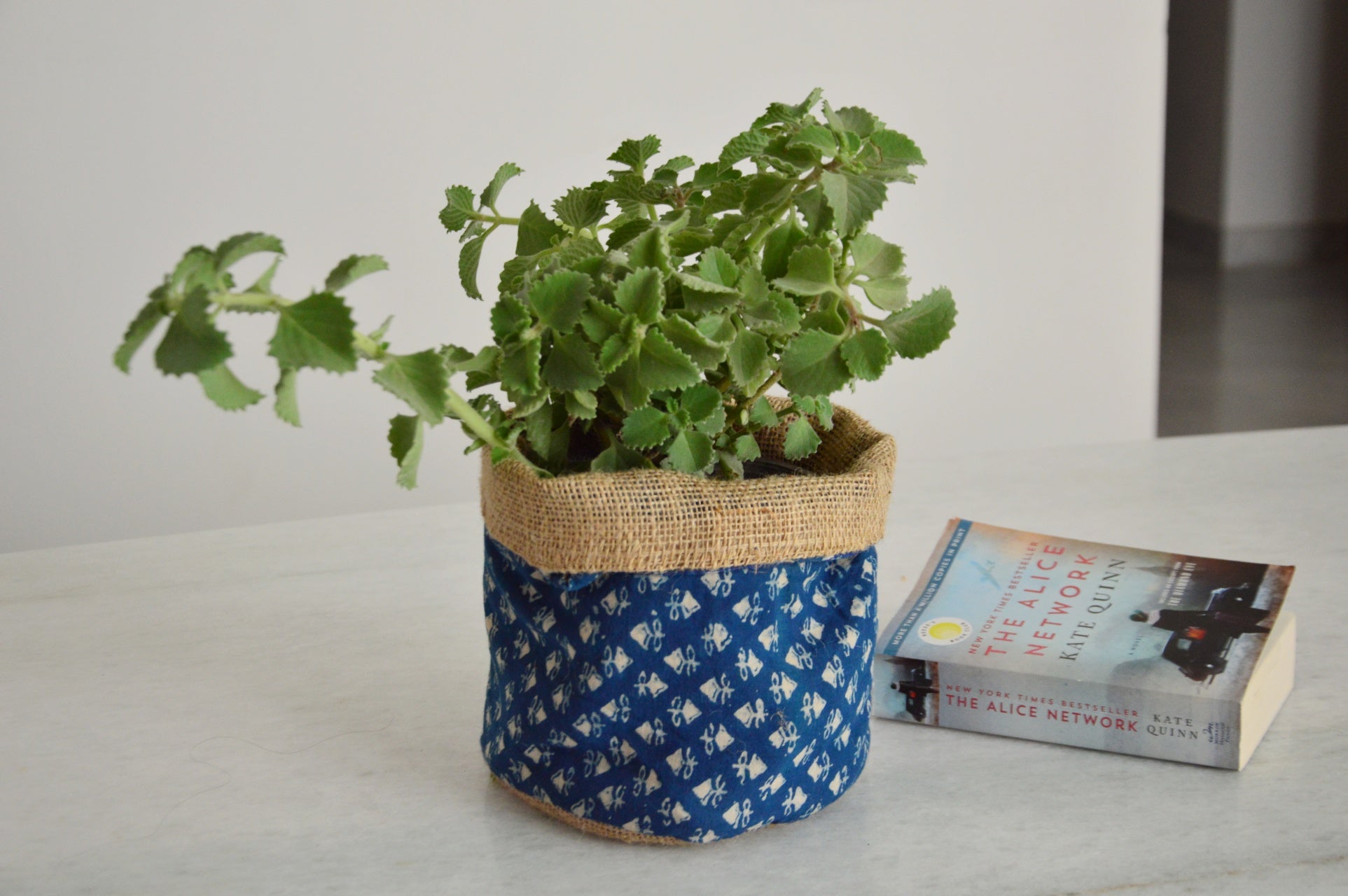 Indigo Bucket Gift Bag | Reversible Planter