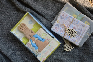 Peter Rabbit Cloth Book| Beatrix Potter