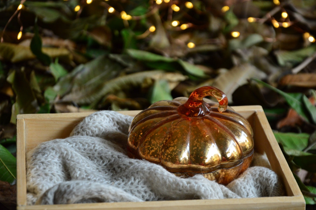 Harvest Spice Vintage Orange Glass Pumpkin Candle | Hazelnut Cappuccino