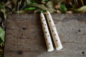 Hand Painted Hand Dipped Candles | Fallen Leaves
