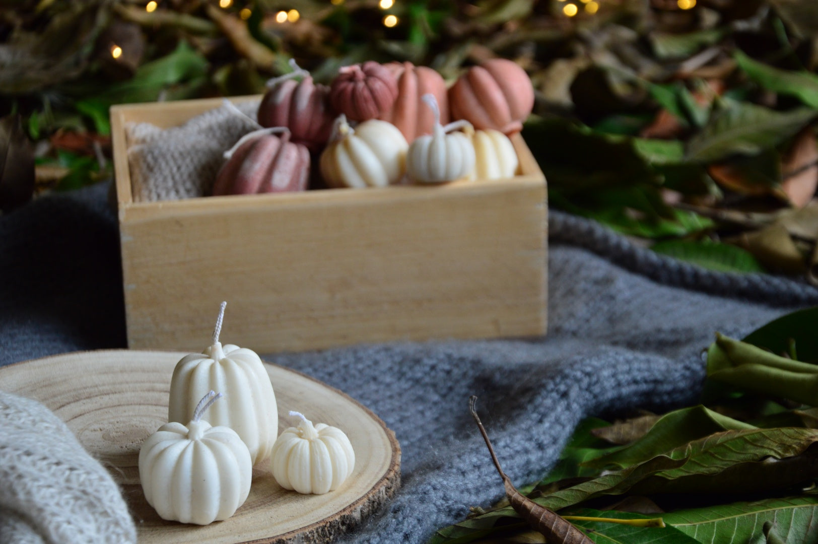 Pumpkin Patch