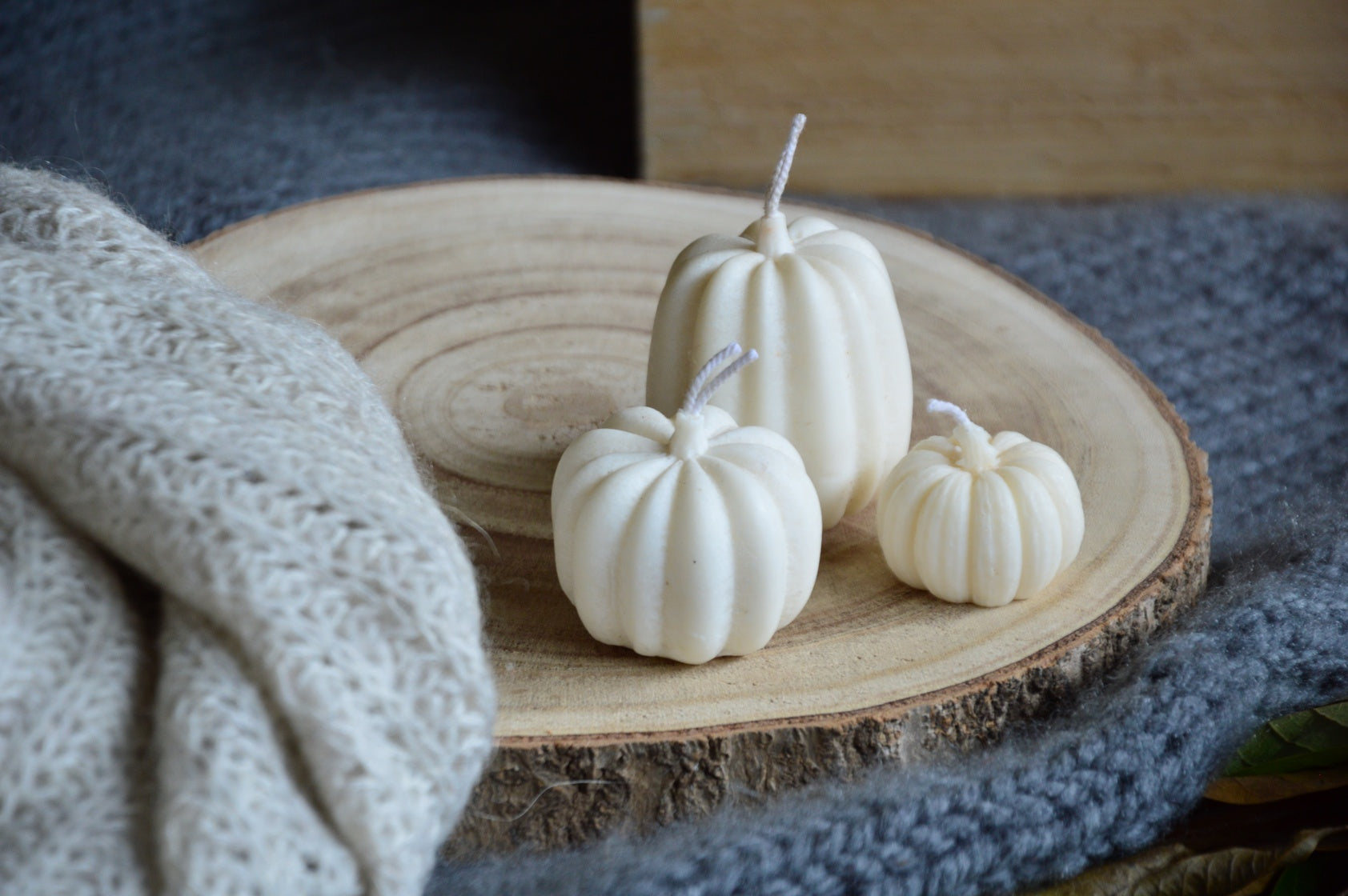 Pumpkin Patch