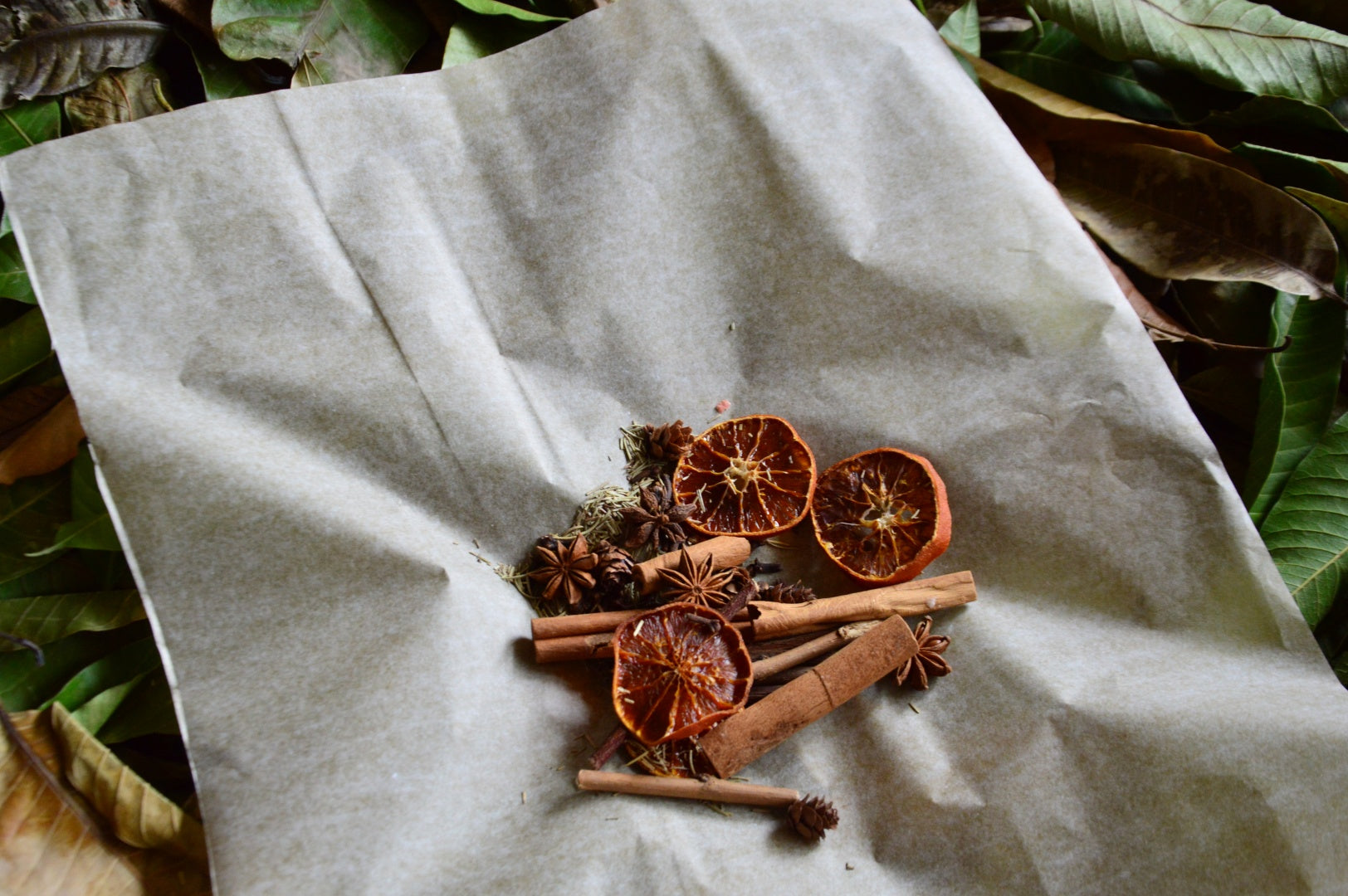 Autumn Gift Bag | Armatuer X Trumatter