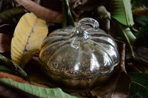 Harvest Spice Vintage Silver Pumpkin Candle | Vanilla Bean
