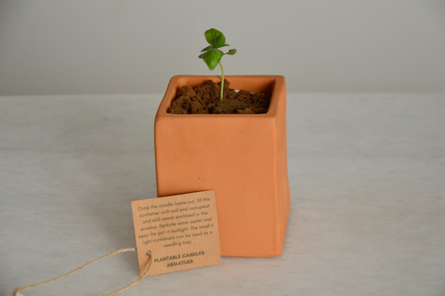 Plantable Candle | Grow A Herb