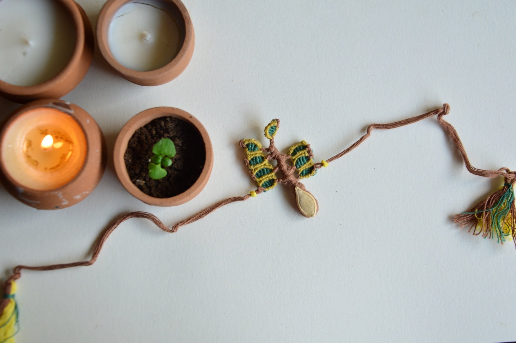 Plantable Rakhi | Tree