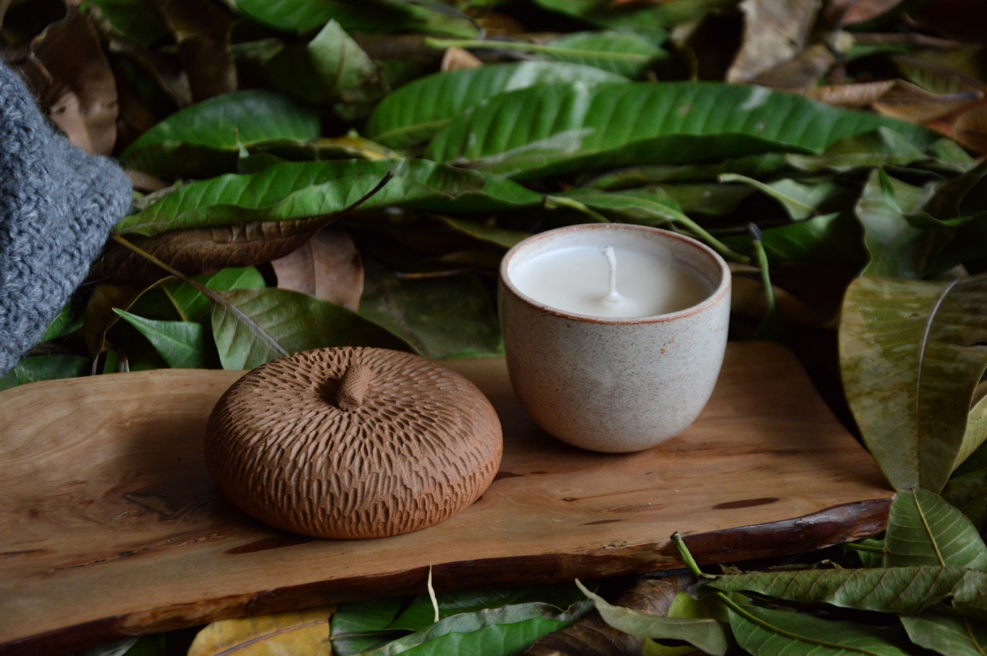 Cermaic Acorn | White