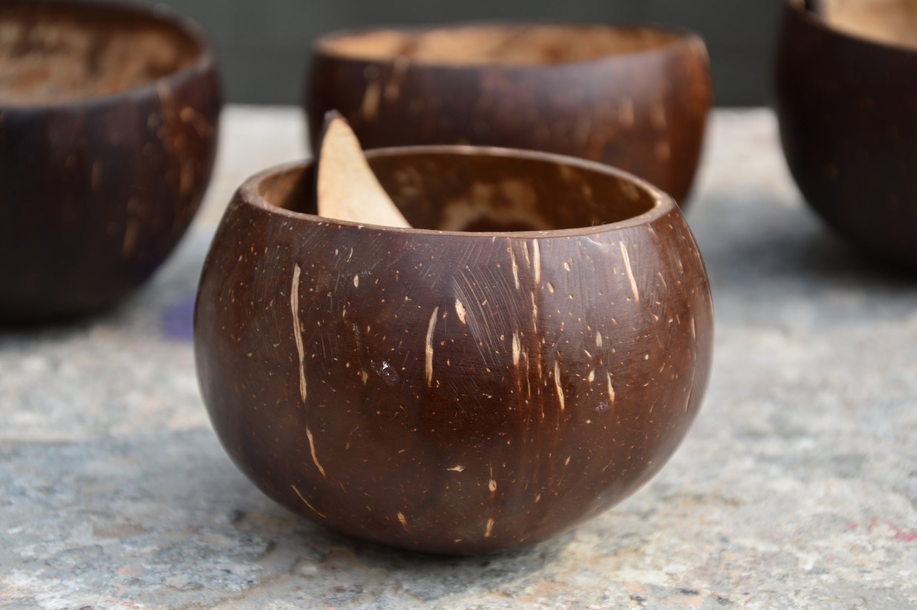 Coco Icecream Bowls