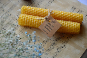 Rolled Beeswax Candles | Assortment 3