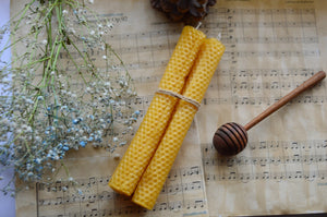 Rolled Beeswax Candles | Assortment 4