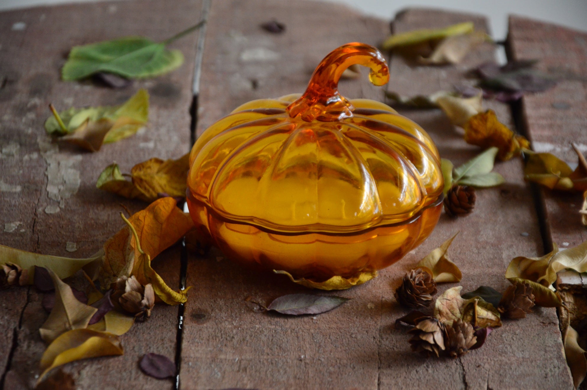 Harvest Spice Orange Glass Pumpkin Candle | Pumpkin Spice