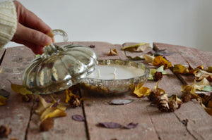 Harvest Spice Vintage Silver Pumpkin Candle | Vanilla Bean