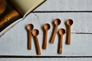 Set of 6 Tiny Spoons | Mother's Day Gifts